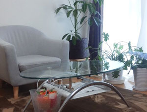 �T�����C���[�W